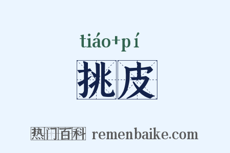挑皮是什么意思的图片